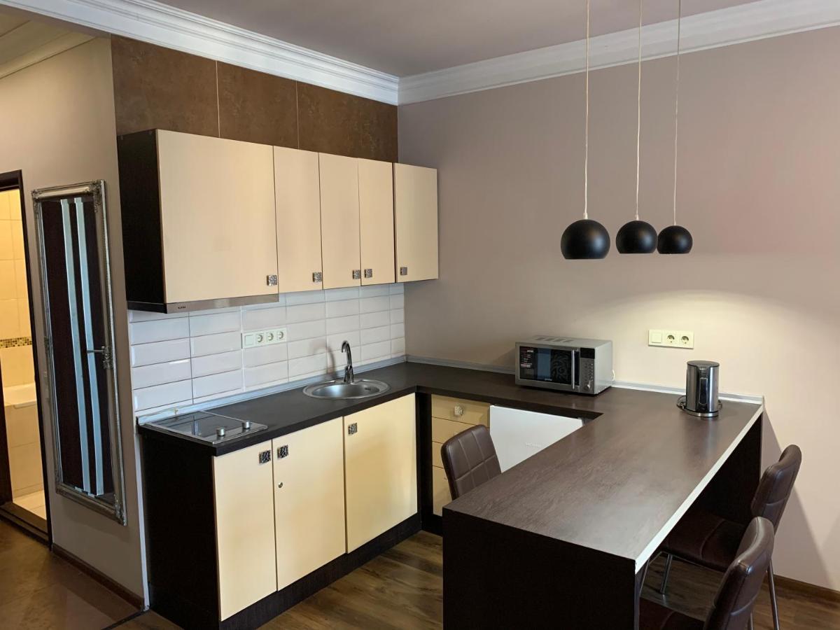 Apartment Elegant Kijev Kültér fotó